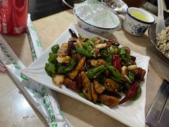 -蘑统田下·野生菌火锅