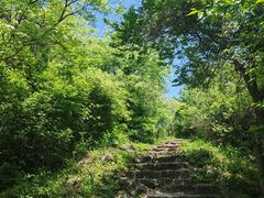 -镇江市南山风景名胜区竹林景区