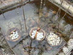 -天芳悦潭度假村温泉