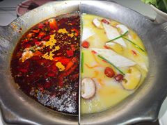 -九鼎轩脆毛肚火锅(三钢里店)