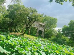 -西溪国家湿地公园