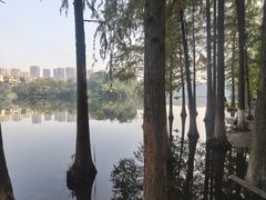 -重庆彩云湖湿地公园