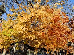 -长春市南湖公园