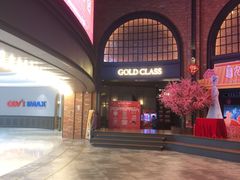 -CGV影城(壹方城IMAX店)