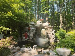-上海醉白池公园
