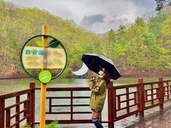 -洛阳白云山景区