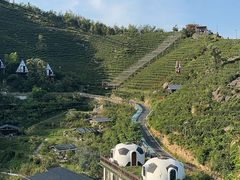 -长沙黑麋峰国家森林公园