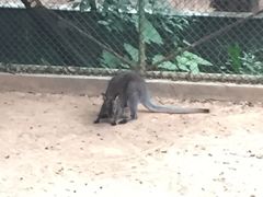 -广东茂名森林公园