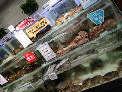 -超级物种·波龙工坊(国贸店)