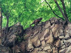 -北京上方山国家森林公园