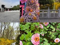 -洛阳市隋唐城遗址植物园