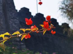 -肇庆古城墙