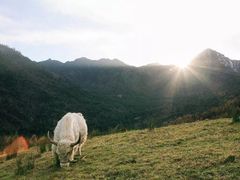 -硗碛藏寨·神木垒景区