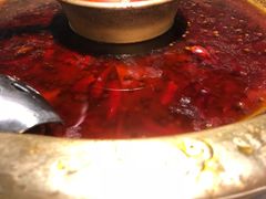 -哥老官重庆美蛙鱼头(宝山龙湖店)