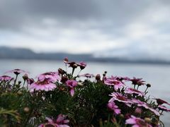 -泸沽湖国家级风景名胜区走婚桥