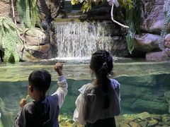 -江和美海洋公园