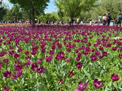 -长春公园(普阳街道)