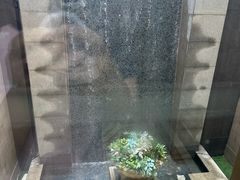 -常州武进九洲喜来登酒店