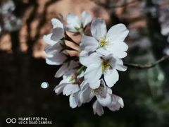 -鲁迅公园-垂钓中心