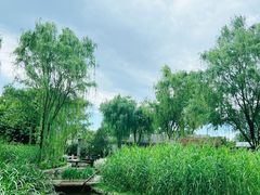 -三里河公园
