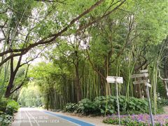 -苏州河梦清园环保主题公园