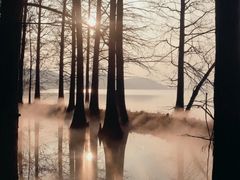 -东湖落雁景区