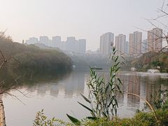 -重庆彩云湖湿地公园