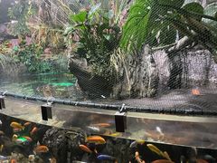 -太平洋海底世界