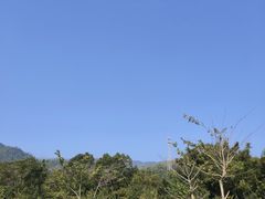 -田心森林公园