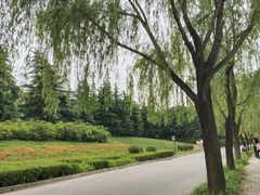 -洨河生态公园