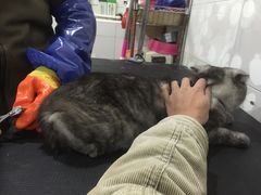 -酷狗靓猫宠物·洗护·美容·寄养(航北路店)
