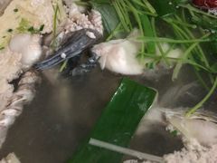 -七采菌园·石锅鱼野生菌火锅(环城北路店)