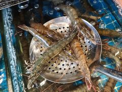 -都市阳光海鲜城(青山湖店)