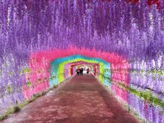 -龙里油画大草原旅游区