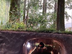 -同里国家湿地公园