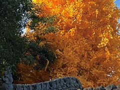 -西安市广仁寺