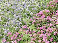 -那香海钻石沙滩浴场