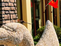 -大连金石滩绿发温泉假日酒店