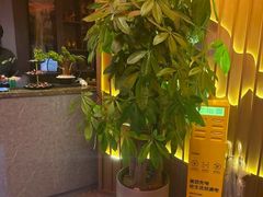 -唐元阁·影院足道SPA·养生会所