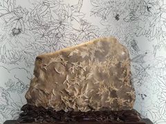-梁园