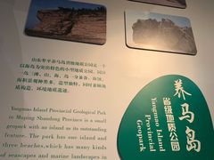-养马岛旅游度假区