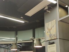 -MT麦如麦立送(五矿live店)