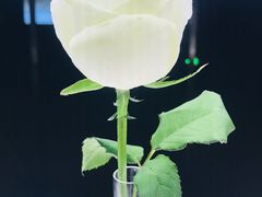 -上海当代艺术博物馆