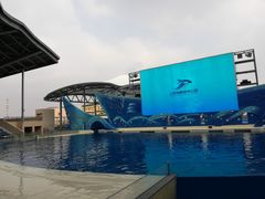 -上海海昌海洋公园-停车场