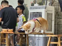 -黄潇洒老火锅(九眼桥宏济巷店)