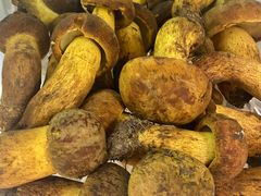 -双喜农庄·菌香园(安居家园店)