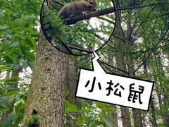 -龙峪湾国家森林公园
