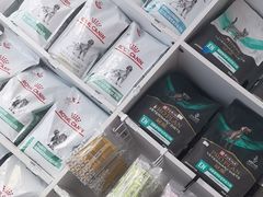 -宠福鑫康馨动物医院·骨科·眼科