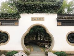 -西湖外事游船(花港观鱼码头)