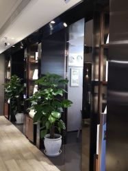 -巴黎经典婚纱摄影PARISSIC